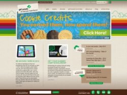 website with cookie credits banner