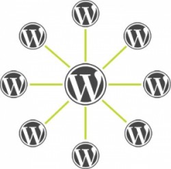 Franchise Web Solution WordPress logos