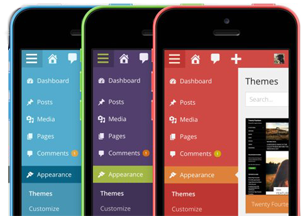 WordPress 3.8 Admin Interface Color Profile Choices Responsive