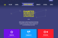 dipper website design by ontarget interactive