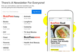 buzzfeed newsletter signup