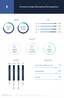 facebook usage among key demographics