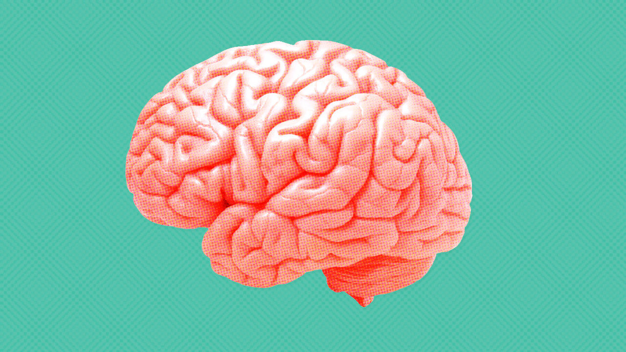 pink brain with teal background