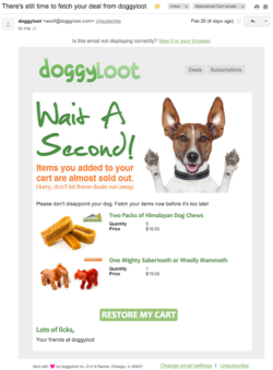 cart abandonment email for doggy loot