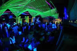 shark bar light and dancing in kansas city