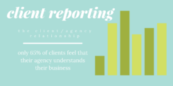 Client reporting for digital marketing
